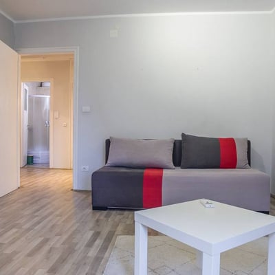 Long-term rental of a cozy 2-room apartment, 60 m², Vračar district, Belgrade, Serbia